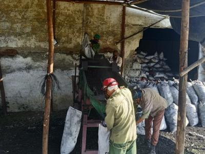 exportación de carbón vegetal