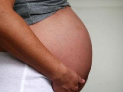 codigo de la familia