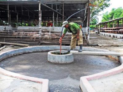 potencialidades del biogás