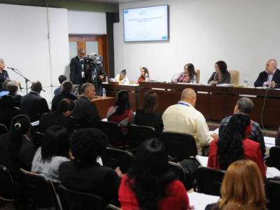 desempeño de los nuevos actores económicos y su aporte al desarrollo territorial