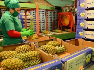 Estabilización macroeconómica