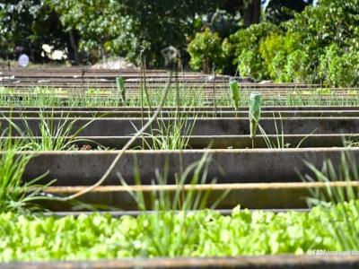 potencial de la agroecología