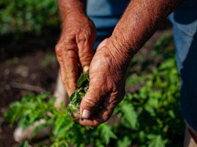 proyecto del Fondo Verde del Clima en Cuba y China