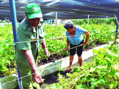 Agricultura y alimentación son inseparables y, en el caso de Cuba, estratégicas
