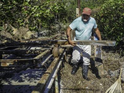 Artemisa y el huracán Rafael