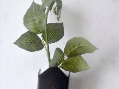 Fidel Castro Ruz, homenaje