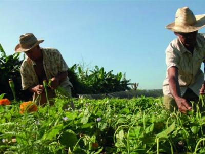 En la producción nacional de alimentos hay un objetivo estratégico del país