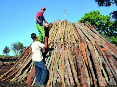 Si el municipio es próspero, la provincia lo será y el país también