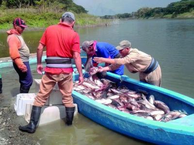 pasar de la retórica a los hechos