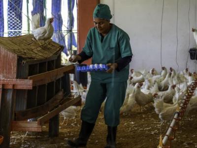 Programa Económico y Social del Gobierno 2026; Economía; 