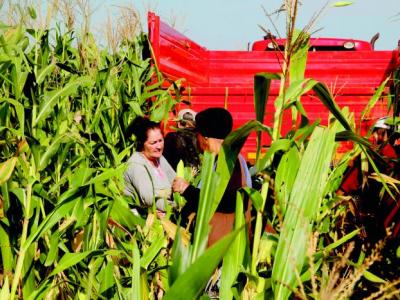 AGRICULTURA