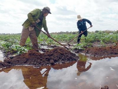full-agricultores.jpg (91.38 KB)