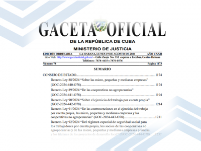 gaceta no78 del 2024