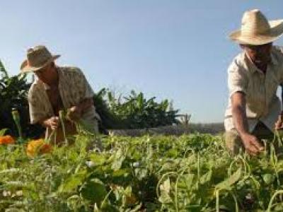 Incrementar la resiliencia climática en los sistemas agrícolas en Cuba