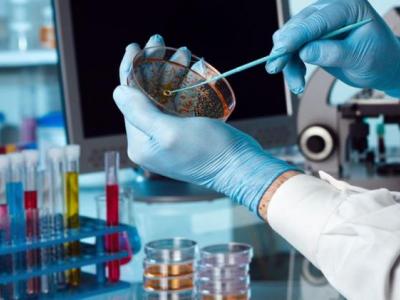 CUBA;ECONOMÍA; CÁMARA DE COMERCIO DE CUBA ;MINCEX