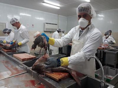 ¿Cómo aportan las empresas filiales al dinamismo de la economía cubana? (Parte I)