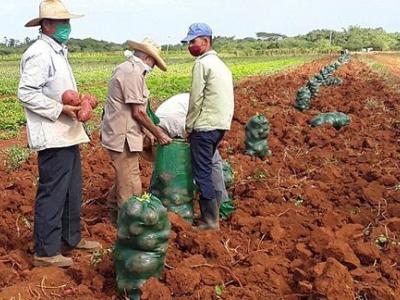 visita-de-valdés-mesa-580x324.jpg (69.97 KB)