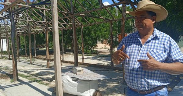 campesino