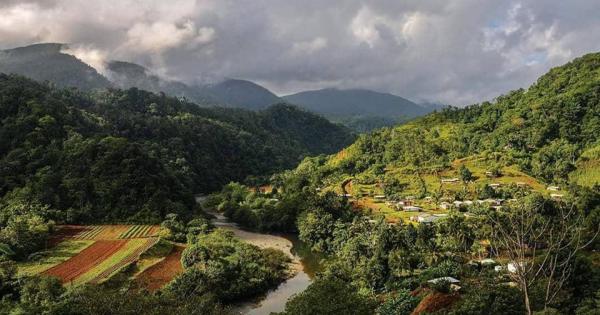 dia internacional del medio ambiente