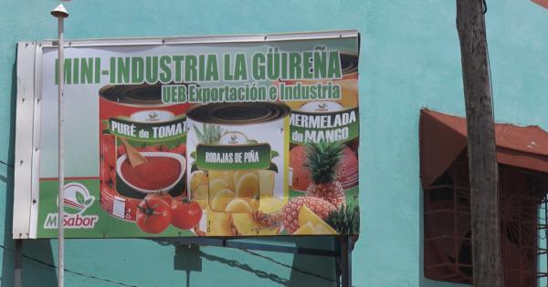 autoabastecimiento local