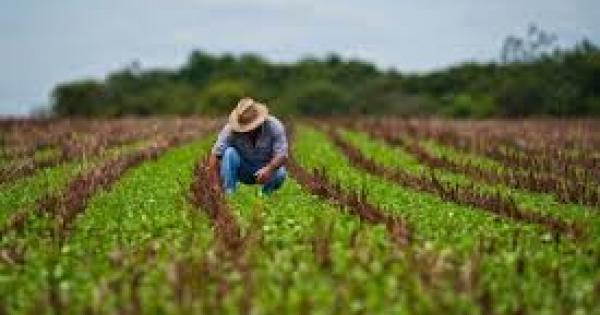agricultura