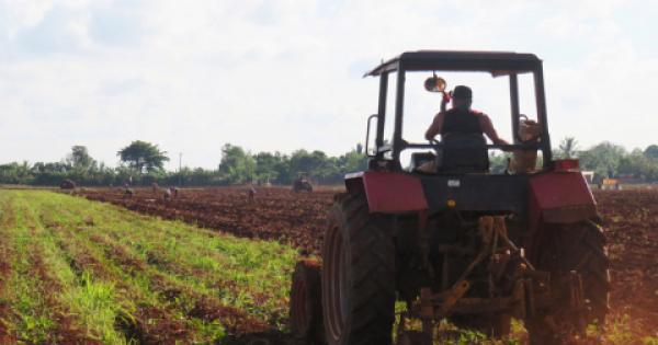 2305-artemisa-1_0.jpg (161.76 KB)