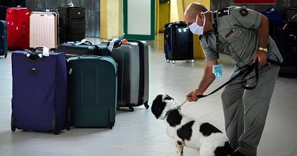 luchas Antidrogas en Cuba