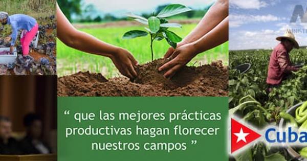 Plan SAN
