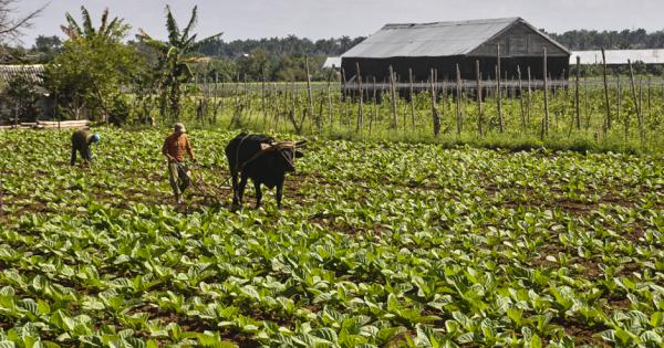 resolución exonerando de aranceles importación de varios productos