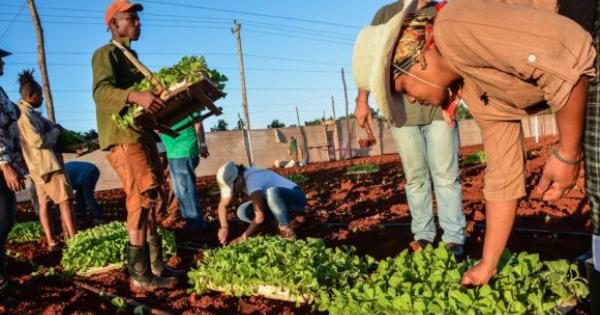 Autonomía municipal en Cuba