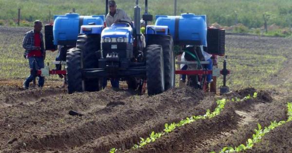 Agricultura, cosecha