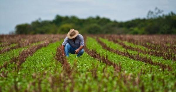 agricultura; cuba;