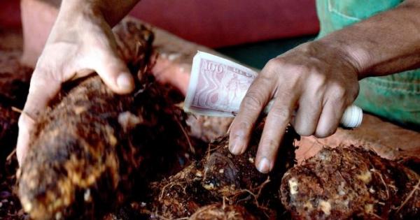 CUBA;ECONOMÍA;INFLACIÓN