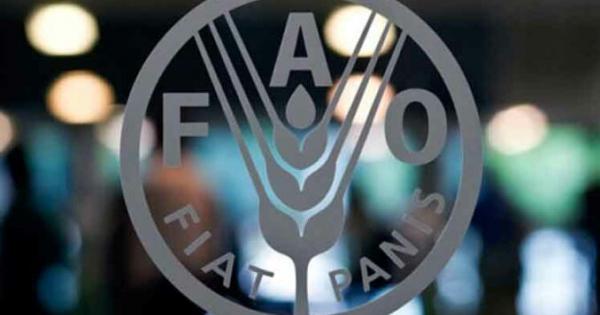 Cuba,FAO