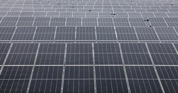 montaje de más de 50 parques en todo el país