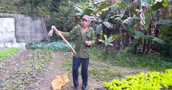 Luis-Garcia-productor-platano-cafe-minas-de-matahambre.jpg (175.49 KB