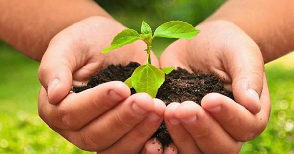 modelos agroecológicos sostenibles