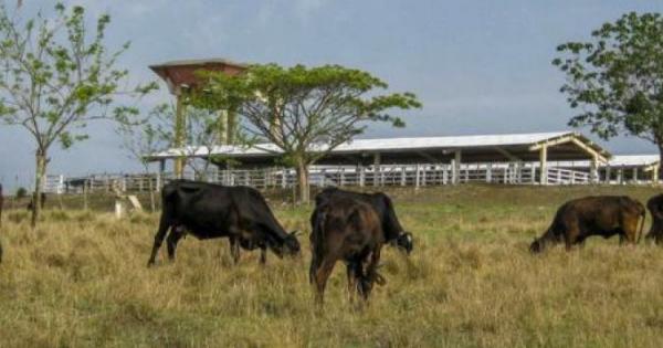 soberanía alimentaria