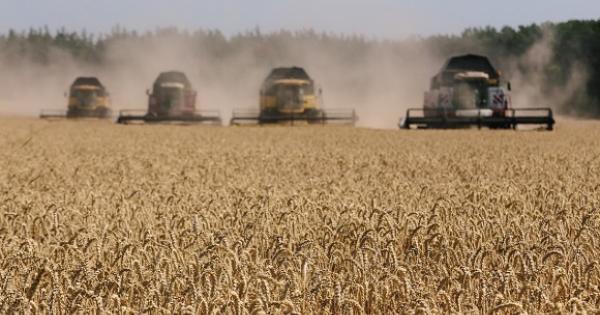alzas en precios mundiales de alimentos