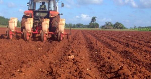 agricultura