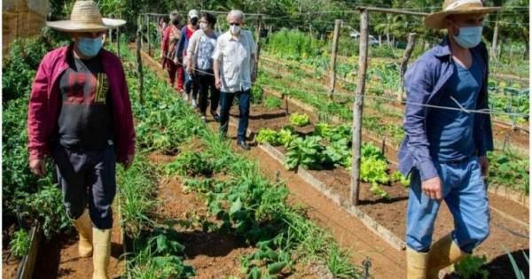 CUBA;Plan Nacional de Soberanía Alimentaria y Educación Nutricional