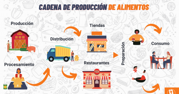 cadena-de-produccion-alimentos.png (508.58 KB)
