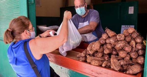 Cuba,Tarea Ordenamiento,Producción Agropecuaria