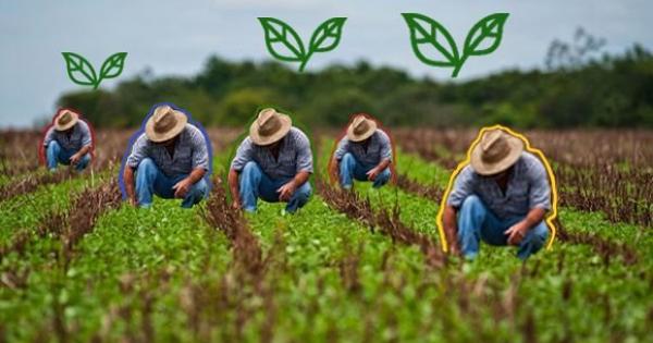 Agricultura, cosecha