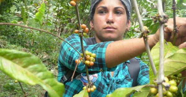 f0180535.jpg (78.04 KB)