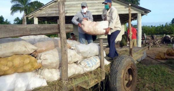 f0187485.jpg (70.41 KB)