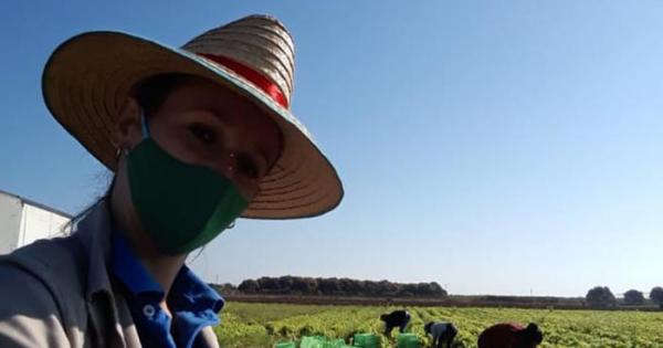agricultura
