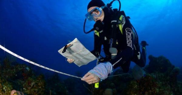 investigaciones científicas