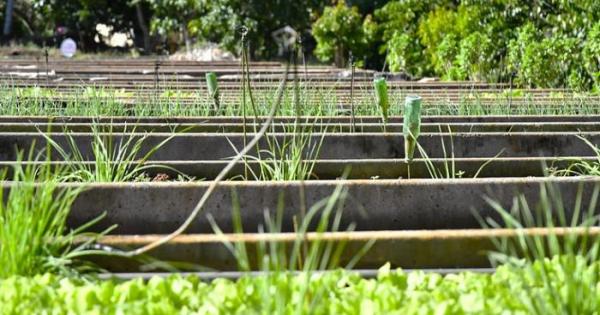 potencial de la agroecología