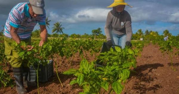 perfeccionamiento normativo del cooperativismo en Cuba